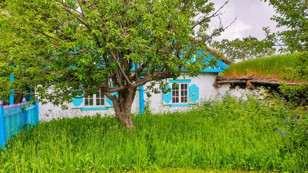 gorelovka duchoborcy gruzja malowana chata