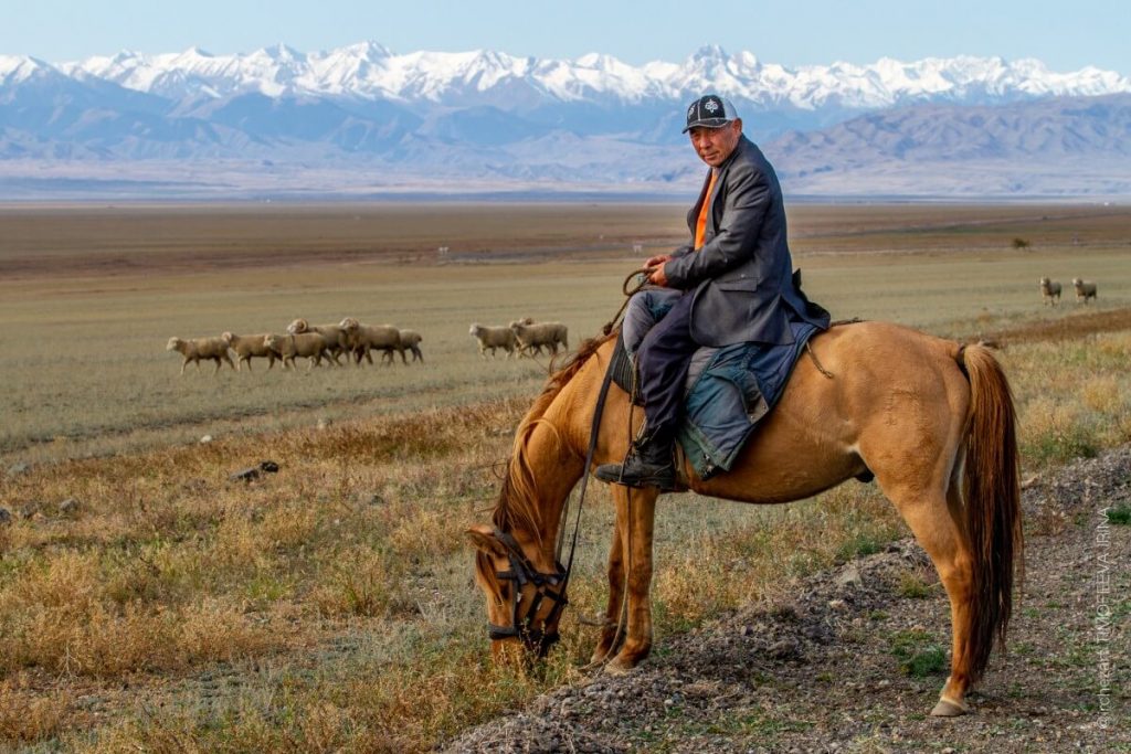 Kazachstan – poradnik praktyczny. Dokumenty, zdrowie, kultura, ciekawostki, atrakcje